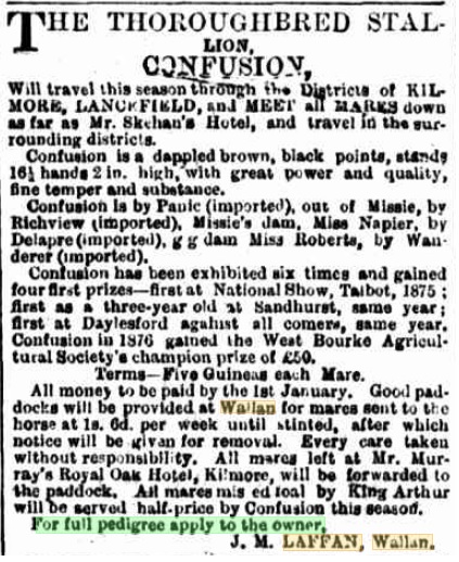 Confusion. Kilmore Free Press - 5th October, 1878