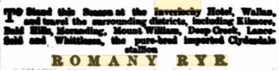 Romany Rye. Kilmore Free Press - 29th August, 1889