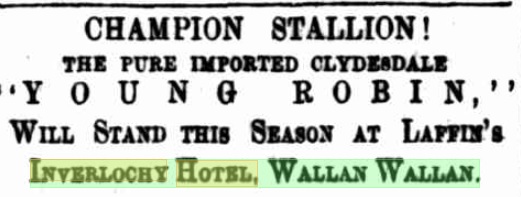 Young Robin. Kilmore Free Press - 9th October, 1876